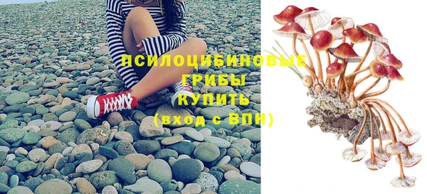 СК Нефтекумск